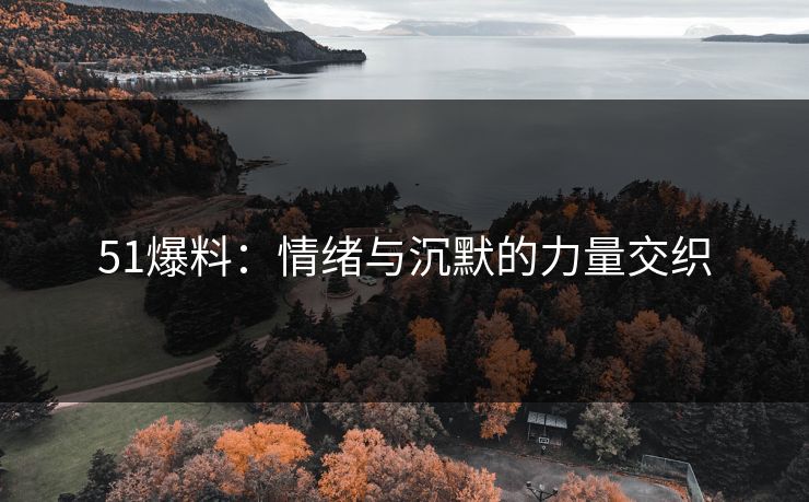 51爆料：情绪与沉默的力量交织