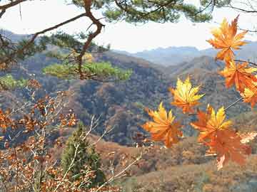 黑料深度揭秘：花絮风波背后，明星的角色令人意外