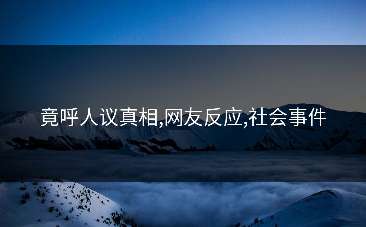 竟呼人议真相,网友反应,社会事件