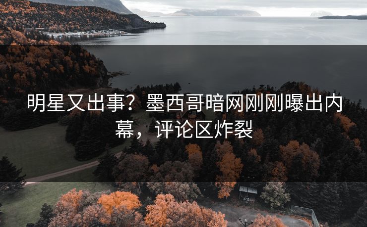 明星又出事？墨西哥暗网刚刚曝出内幕，评论区炸裂