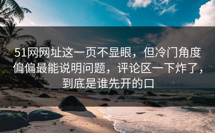 51网网址这一页不显眼，但冷门角度偏偏最能说明问题，评论区一下炸了，到底是谁先开的口